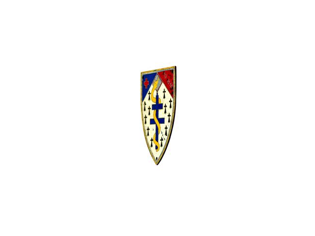 Côté insigne 19e bataillon médical 